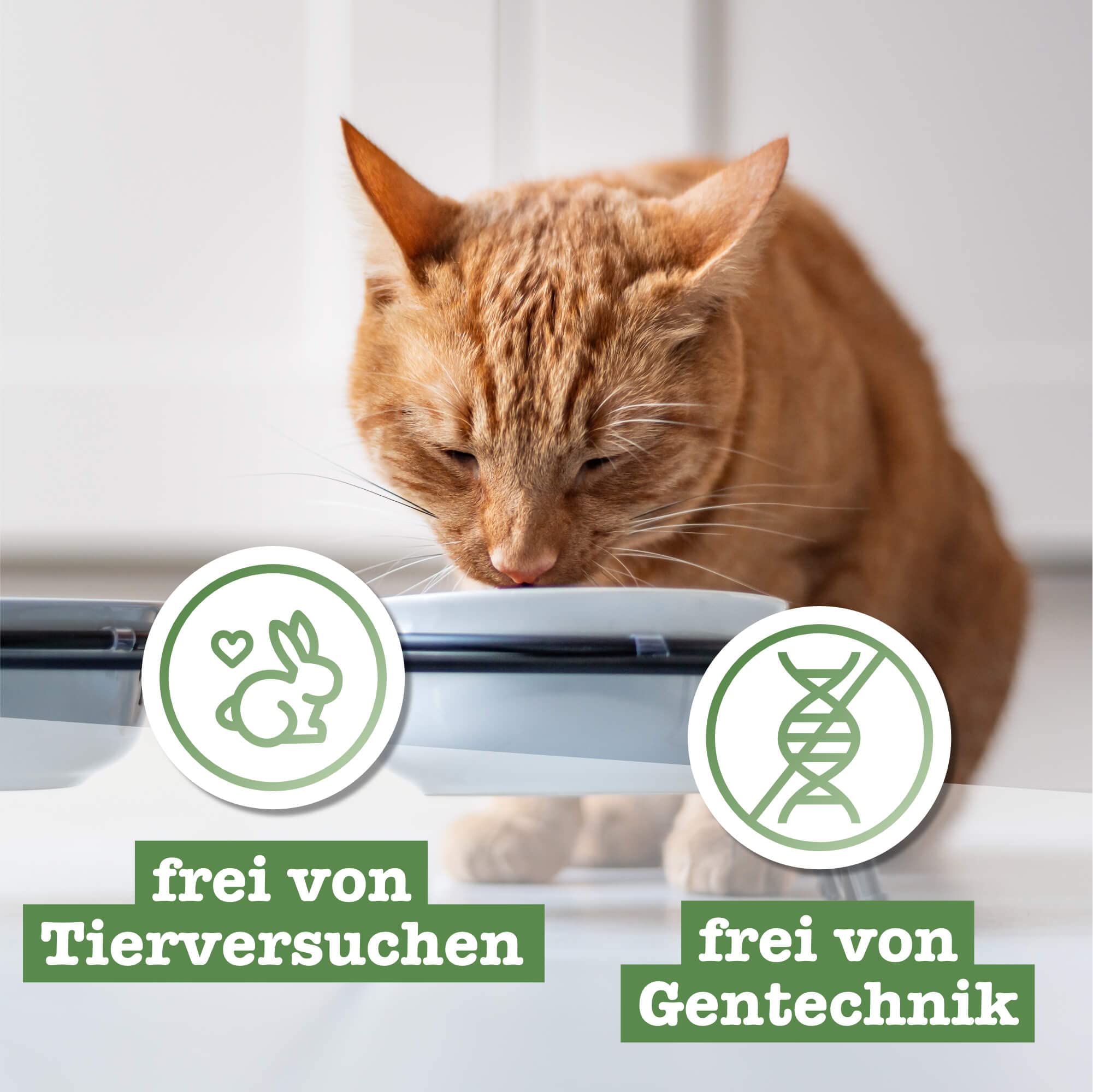 catz-finefood-n-15-huhn-fasan-nassfutter-f-r-katzen-6-x-800g-dosen image 7