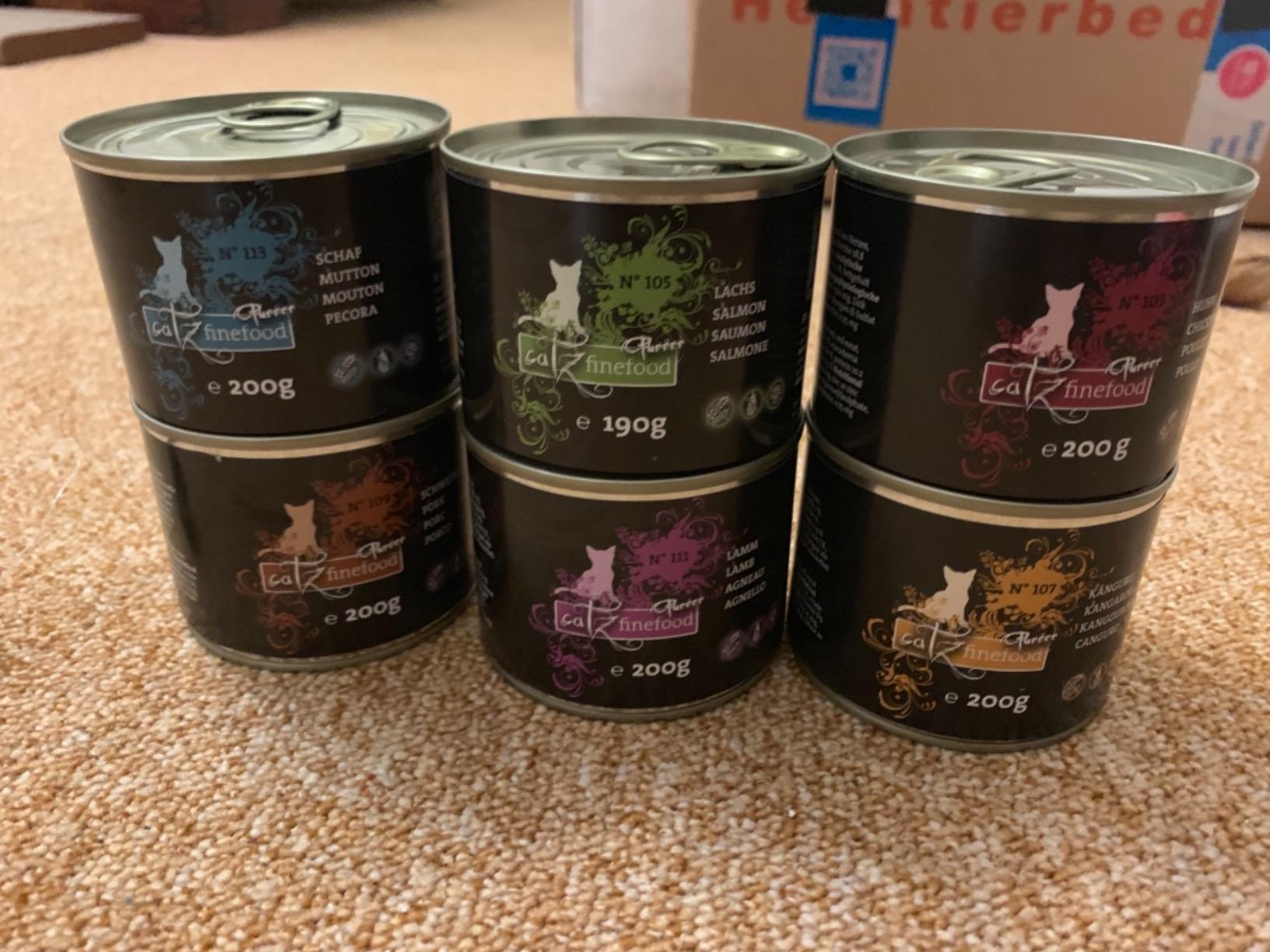 Rettung für Allergikerkatze